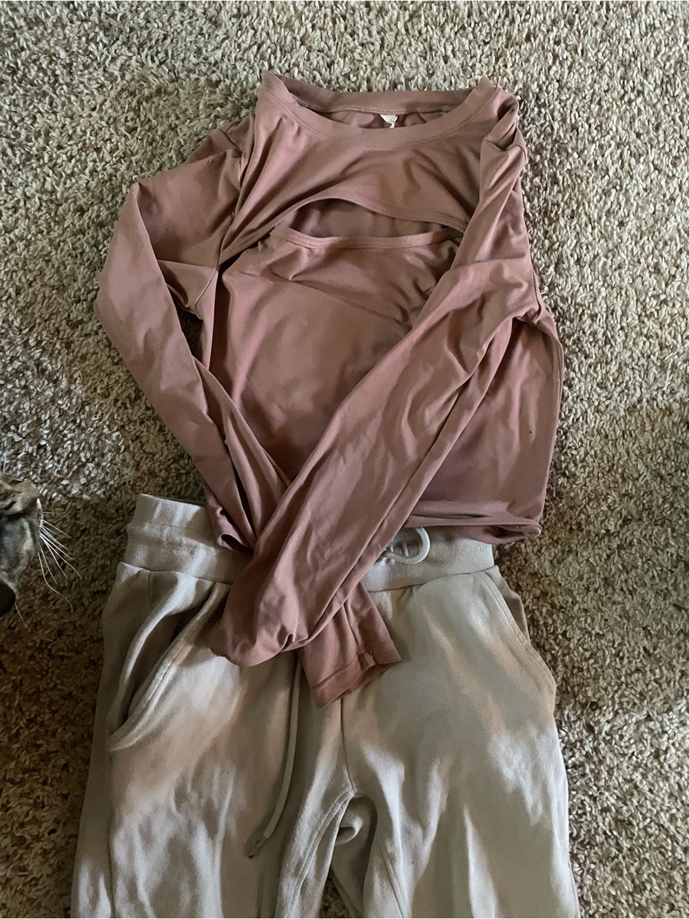 Alphalete top and jogger bottom